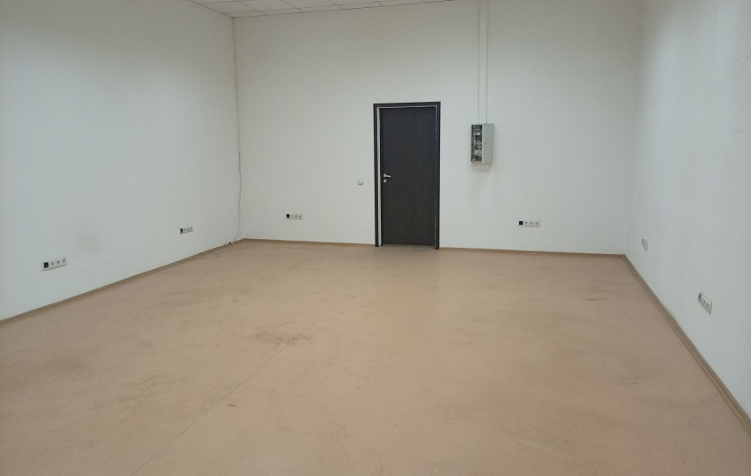 50,1, фото № 5