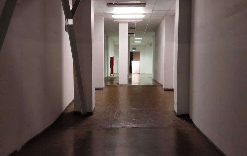 804,2, фото № 4