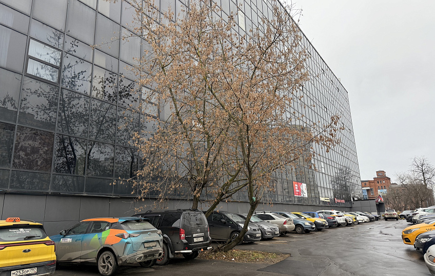 1186,40, фото № 1