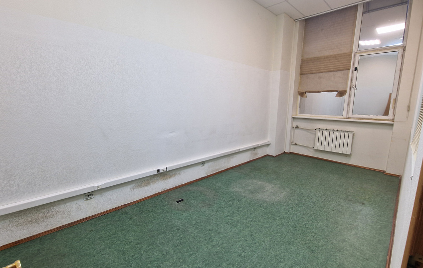 38,1, фото № 2