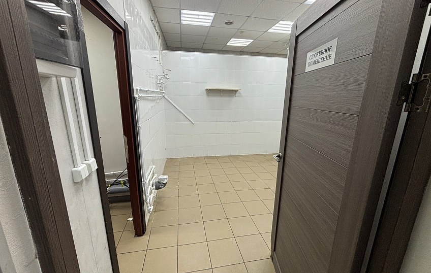 196,3, фото № 2