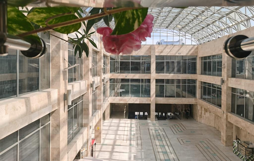 48,5, фото № 6