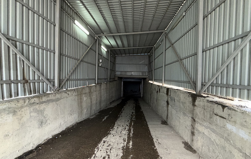 594,7, фото № 5