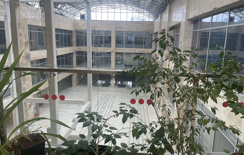 109,8, фото № 7